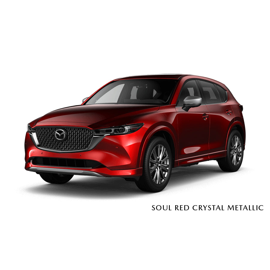Soul Red Crystal Metallic - 46V Premium Touch-Up Paint Pen Colour