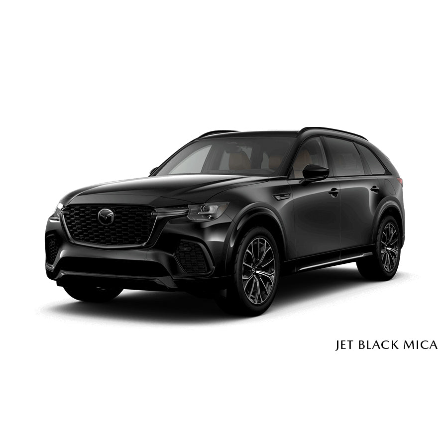 Jet Black Mica (41W) Premium Touch-Up Paint Pen Colour
