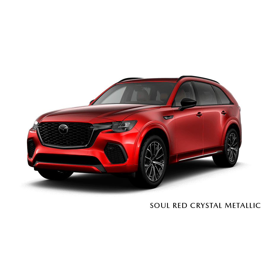 Soul Red Crystal Metallic (46V) Premium Touch-Up Paint Pen Colour