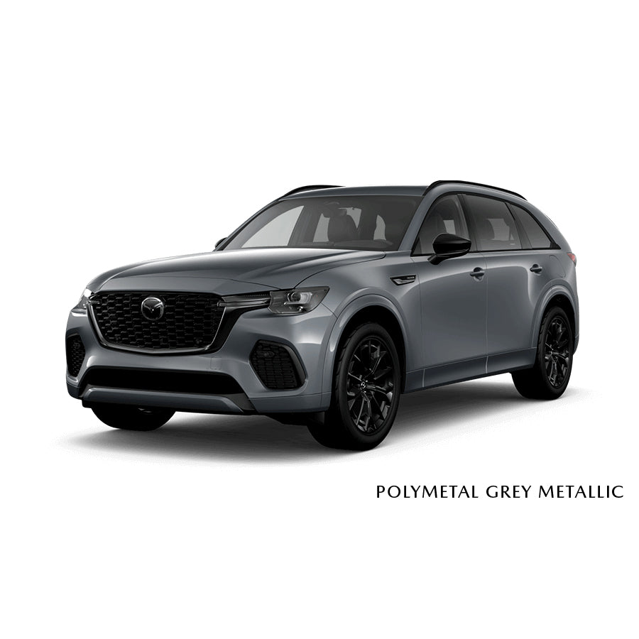 Polymetal Grey/Gray Metallic (47C) Premium Touch-Up Paint Pen Colour