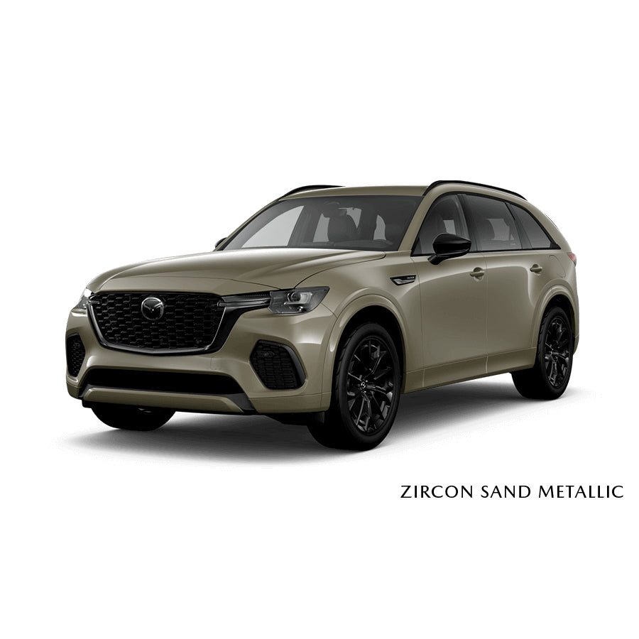 Zircon Sand Metallic (48T) Premium Touch-Up Paint Pen Colour