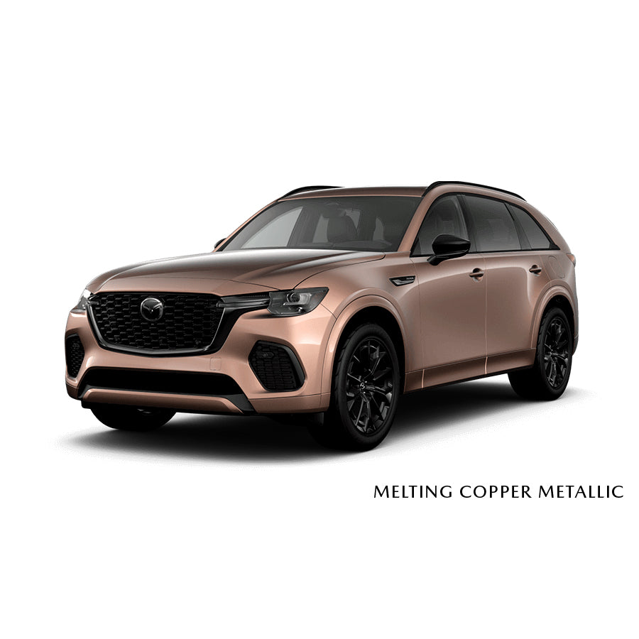 Melting Copper Metallic (52H) Premium Touch-Up Paint Pen Colour