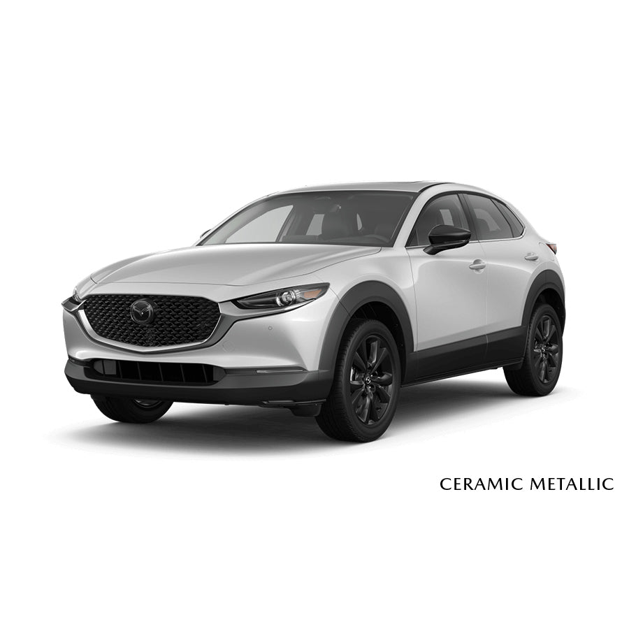 Premium Touch-Up Paint Pen | Mazda CX-30 (2020-2025)