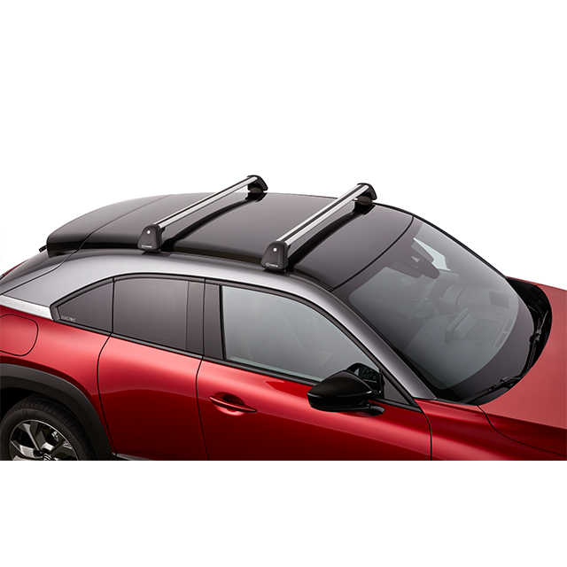 Roof Rack & Mouldings | Mazda MX-30 (2022)