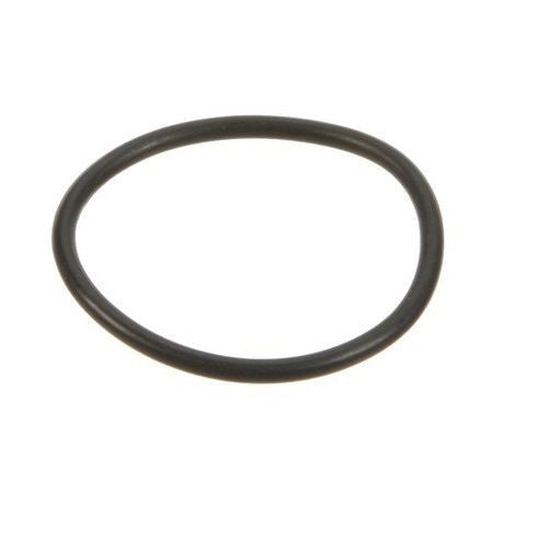Thermostat O-Ring | Mazda CX-9 (2007-2013)